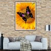 Butterfly - Full Round Diamond Painting