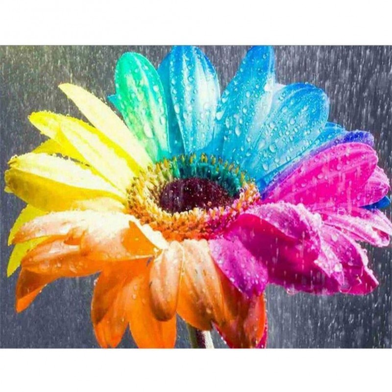 Colorful Flower - Fu...