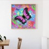 Butterfly-Full Square Diamond Painting