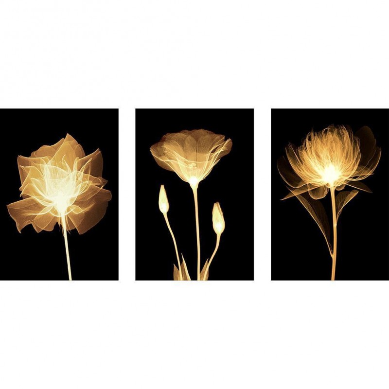 Golden Flower - Full...