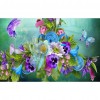 Butterfly Flowers - Full Round Diamond Painting
