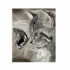 Grey Cat Butterfly - Partial Round Diamond Painting