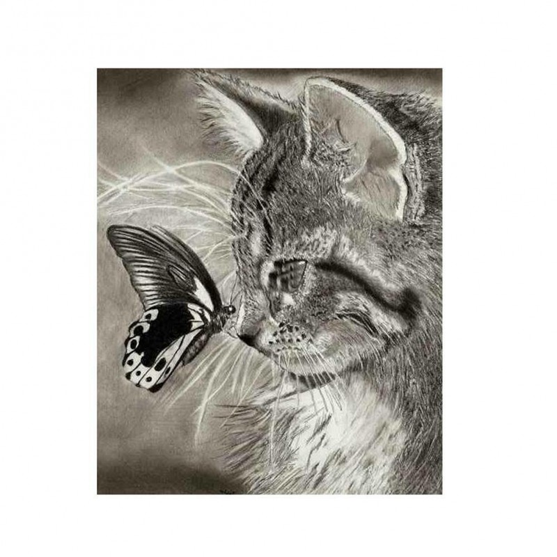 Grey Cat Butterfly -...