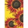 Sunflower - Full Round Diamond Painting