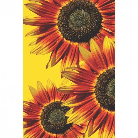 Sunflower - Full Round Diamond Painting