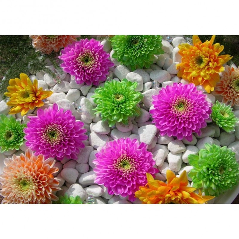 Flower - Full Round ...