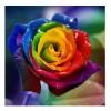 Rainbow Rose - Partial Round Diamond Painting (30*30cm)