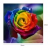 Rainbow Rose - Partial Round Diamond Painting (30*30cm)