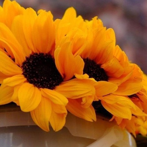 Sunflower - Full Round Diamond Painting