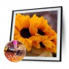 Sunflower - Full Round Diamond Painting