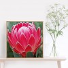 Protea Flower - Full Round Diamond Painting