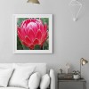 Protea Flower - Full Round Diamond Painting