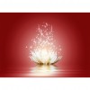 Lotus Flower - Full Round Diamond Painting
