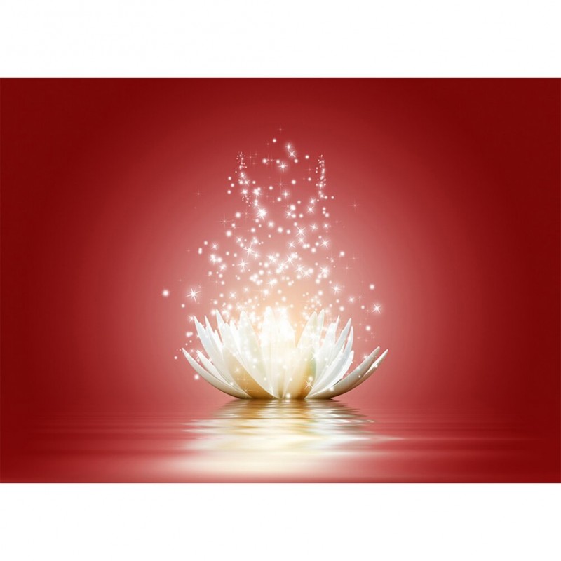 Lotus Flower - Full ...