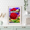 Apple Rose- Full Round Diamond Painting