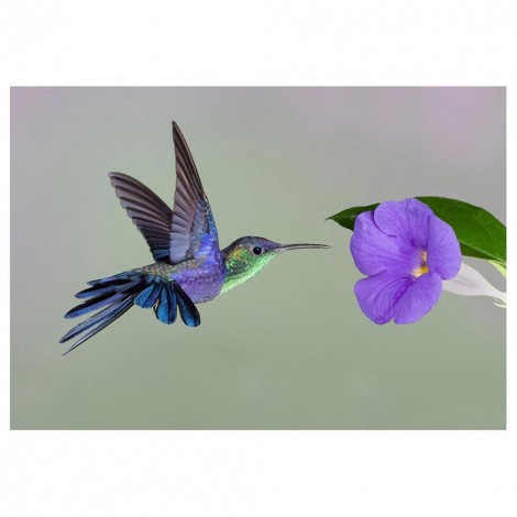 Bird Flower  - Partial Round Diamond Painting