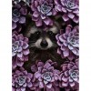 Raccoon Flower - Full Round Diamond Painting
