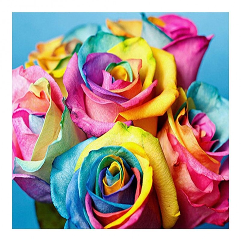 Rose - Full Round Di...