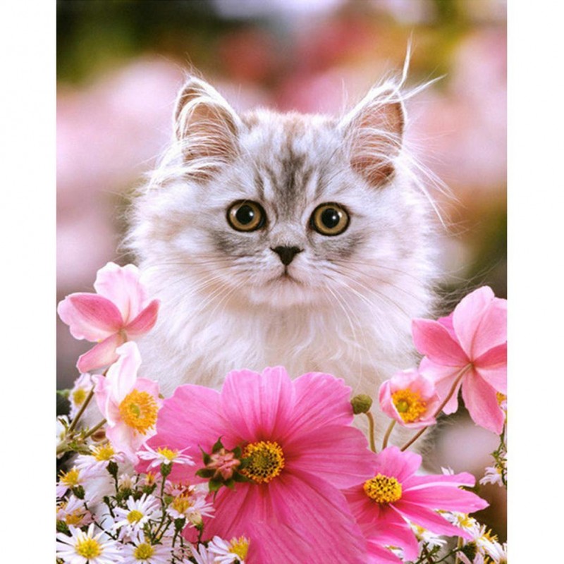 Flower Kitten - Full...