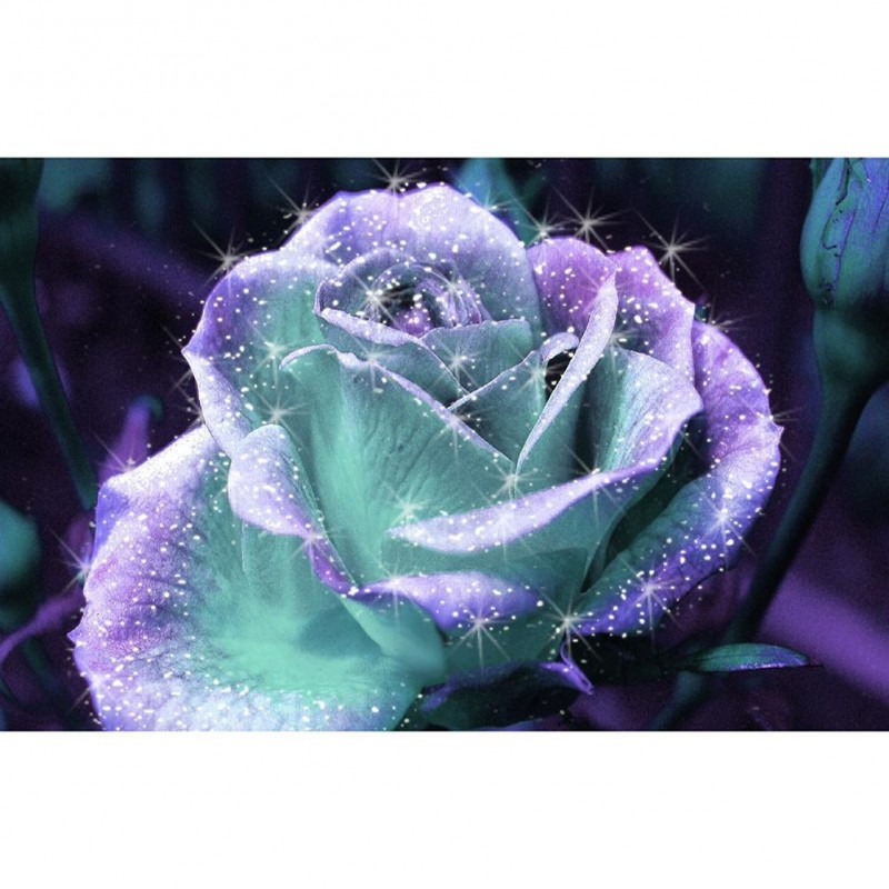 Novelty Flower - Ful...