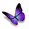 Purple Butterfly - Partial Round Diamond Painting