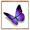 Purple Butterfly - Partial Round Diamond Painting