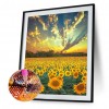 Sunflower-  Full Round Diamond Painting