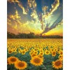 Sunflower-  Full Round Diamond Painting