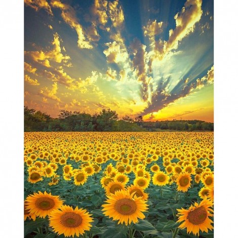 Sunflower-  Full Round Diamond Painting