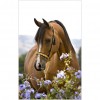Silence Horse Flowers - Full Round Diamond Painting