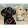 Staring Dogs - Full Round Diamond Painting