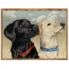 Staring Dogs - Full Round Diamond Painting