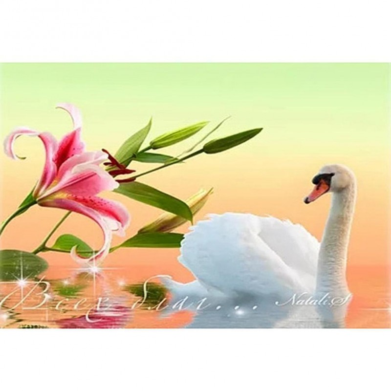 Flower Swan Lake - F...