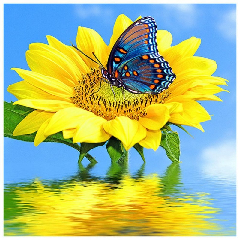 Sunflower Butterfly-...