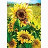 Sunflowers - Full Square Diamond Painting(40*50cm)