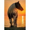 Horse - Full Round Diamond Painting