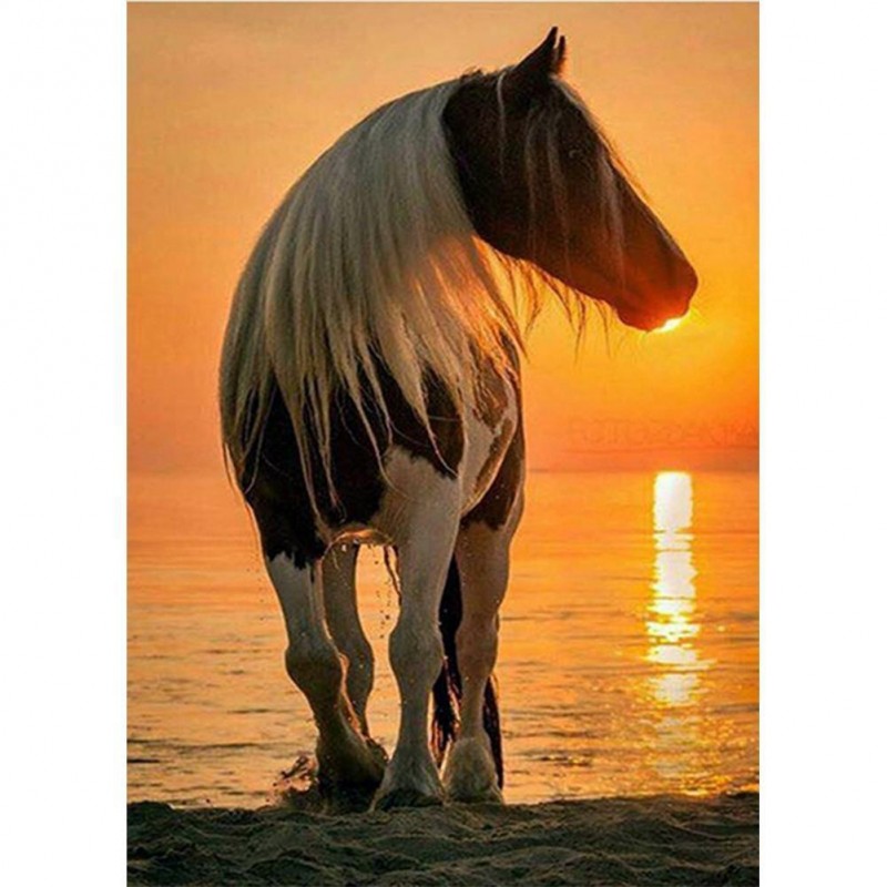 Horse - Full Round D...