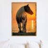 Horse - Full Round Diamond Painting