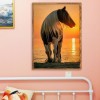 Horse - Full Round Diamond Painting