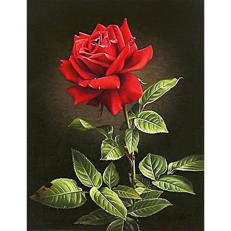 Rose - Full Round Di...