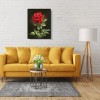 Rose - Full Round Diamond Painting