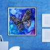 Blue Butterfly - Full Square Diamond Painting