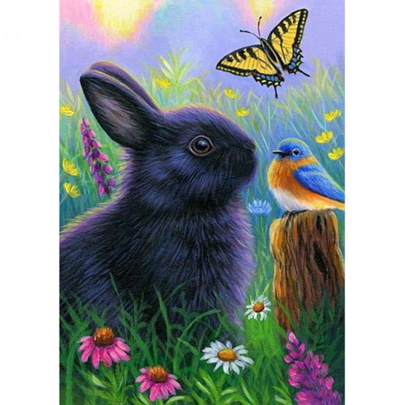 Rabbit Butterfly - F...