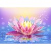 Lotus Flower - Full Round Diamond Painting