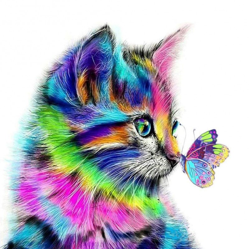 Cat and Butterfly - ...