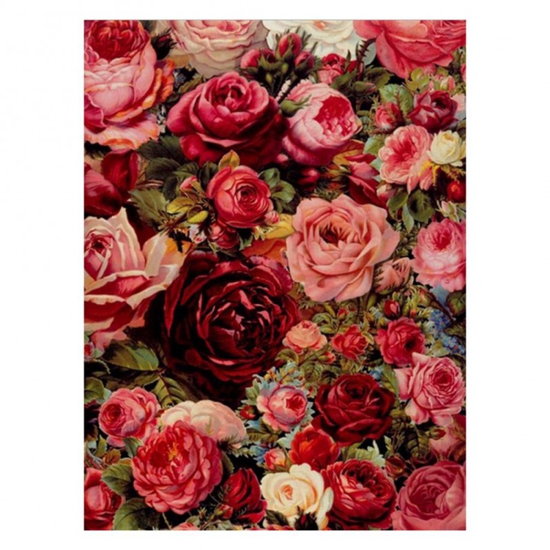 Rose Flowers - Full ...