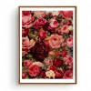 Rose Flowers - Full Round Diamond Painting