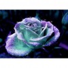 Flower - Full Round Diamond Painting