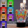 DIY Diamond Painting LED Light Butterfly  Special Shaped Embroidery Lamps