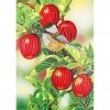 Branch Bird - Crystal Rhinestone Diamond Painting